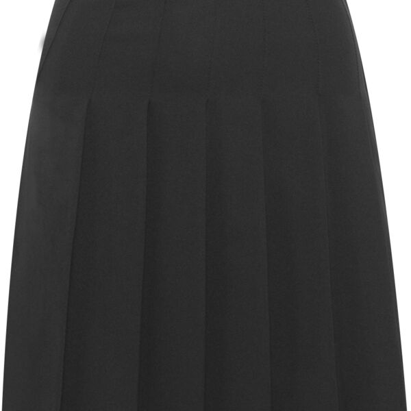 Designer Pleated Skirt Senior  Thumbnail